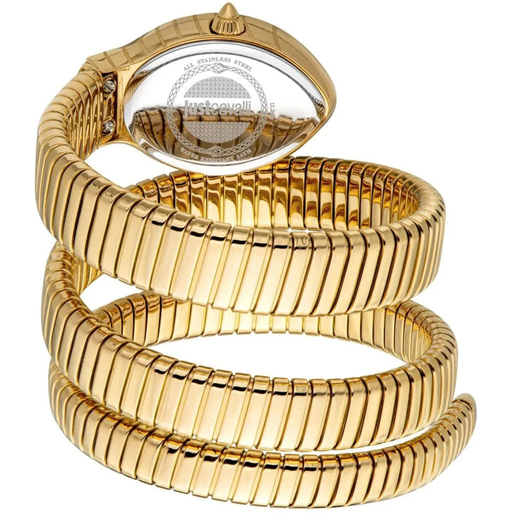 Just Cavalli Watch For Women JC1L248M0035