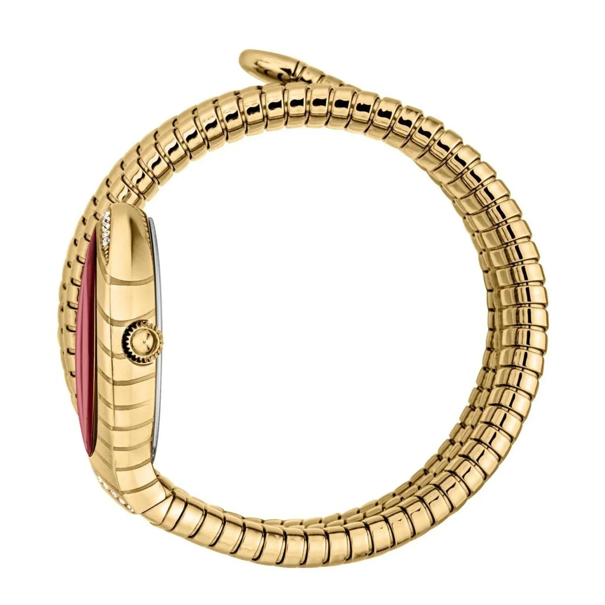 Just Cavalli Watch For Women JC1L248M0035