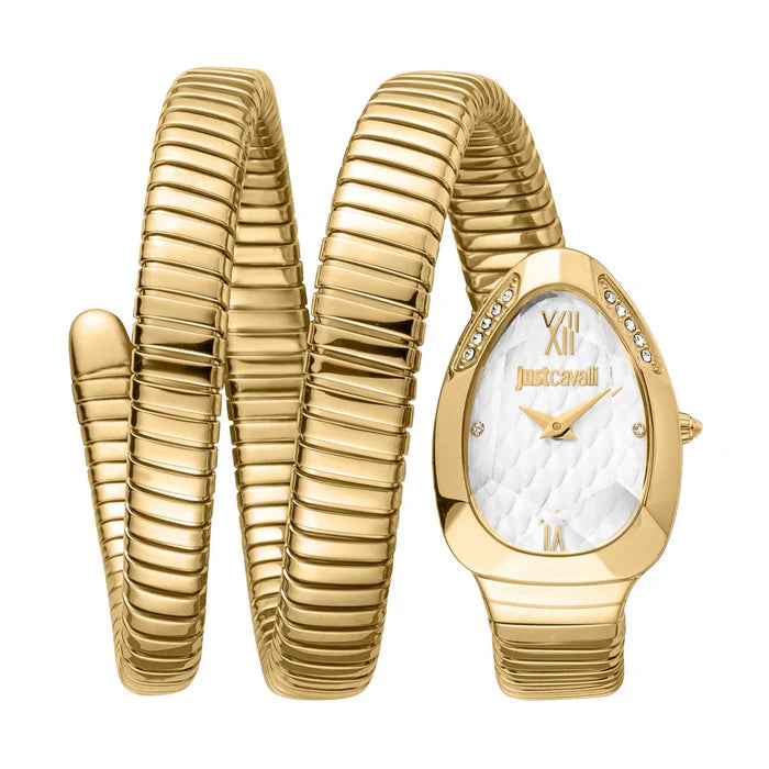 Just Cavalli Stainless Steel Analog Women’s Watch JC1L224M0035