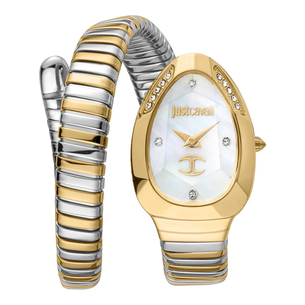 Just Cavalli Women's Watch JC1L229M0065